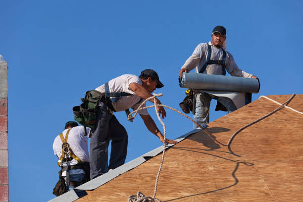 Best Metal Roofing Contractor  in Shorewood Tower Hills Harbert, MI