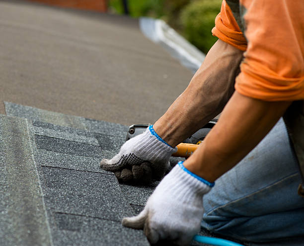 Professional Roofing Contractor in Shorewood Tower Hills Harbert, MI
